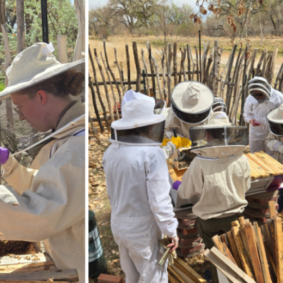 Building Buzz at Bosque School