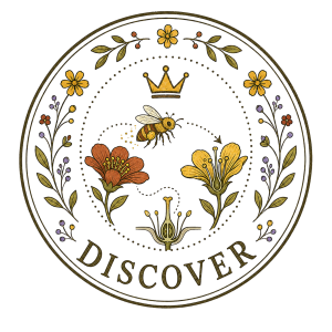 discover-stamp
