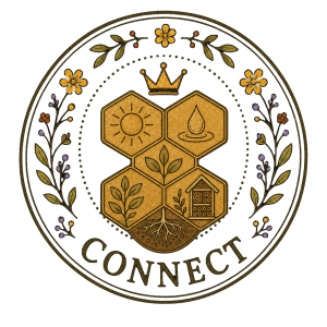 connect