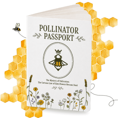 passport-with-comb1